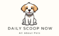 dailyscoopnow